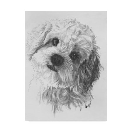 Barbara Keith 'Cavachon' Canvas Art,14x19